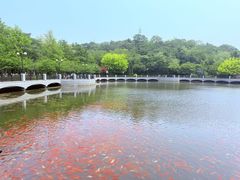 -大连植物园