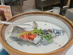 -全乐鱼馆·淳牌有机鱼直营店