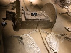 -洛阳周王城天子驾六博物馆