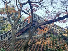 -无锡惠山寺