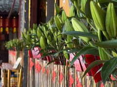 -龙华素斋(龙华路店)