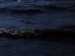 -捞渔河湿地公园