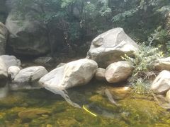 -黑龙潭风景区