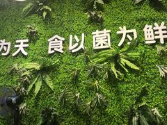 -菌乡缘·野生菌蒸汽鱼火锅(江边夜市店)
