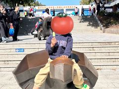 -广东惠东海龟国家级自然保护区