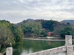 -绍兴大禹开元观堂-若耶厅