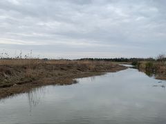 -春花秋色城市公园