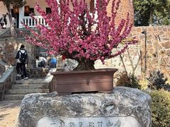 -无锡梅园公园