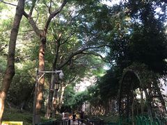 -铁路文化公园