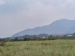 -黄牛肉馆·皖南土菜