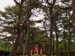 -磬锤峰森林公园