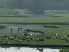 -溱湖国家湿地公园