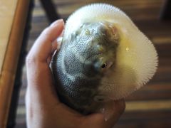 -永安鱼庄·镇江菜(丁卯店)