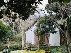 -龙井草堂