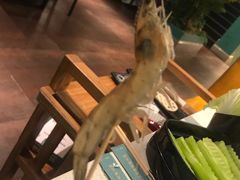 -五星桥原切肥牛火锅(怀德桥店)