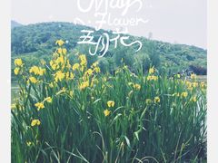 -石塘人家