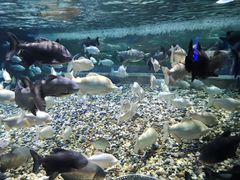 -成都浩海立方海洋公园