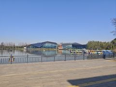 -上海长兴岛郊野公园