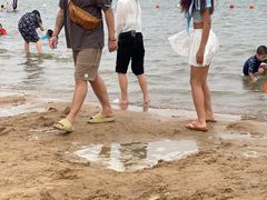 -碧海金沙