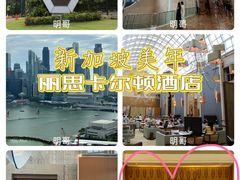 -新加坡丽思卡尔顿美年酒店