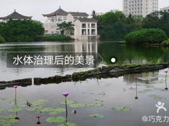 -万绿园