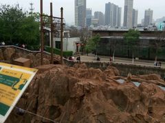 -昆明动物园