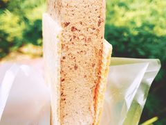 -詹爷爷乌节路街头冰淇淋