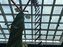 -蒙特利亲子乐园