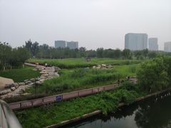 -西海子公园