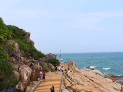 -广东惠东海龟国家级自然保护区