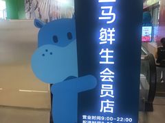 -盒马鲜生(大成店)