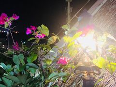 -蠔爺王志德生蚝馆(金沙湾店)