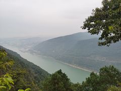 -铁山坪森林公园