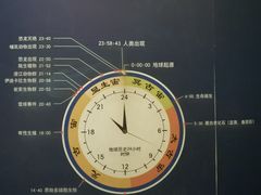 -天津自然博物馆