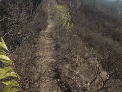 -蟠龙山长城景区