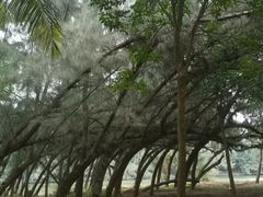 -白沙门生态公园