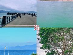 -深圳湾公园(南山区)