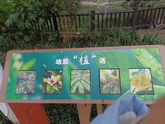 -成都市活水公园