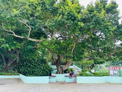 -龙环葡韵住宅式博物馆