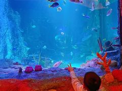 -沈阳海洋探索中心