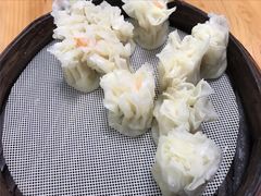 招牌鲜肉烧麦-晓友烧麦(光华村店)