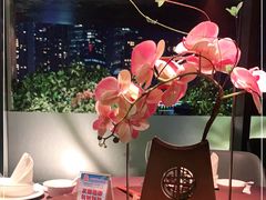 -RIVIERA 松鹤楼(外滩店)
