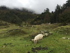-硗碛藏寨·神木垒景区