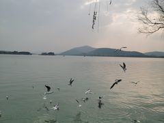 -无锡蠡湖国家湿地公园-蠡园