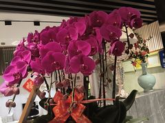 -康逸居·始于2002(海安店)