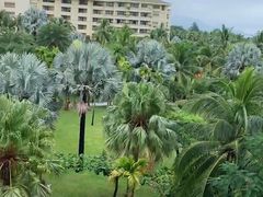 -三亚亚龙湾天域度假酒店