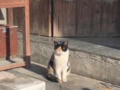 -东梓关景区村庄
