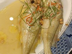 清蒸小黄鱼-金陵后厨·南京菜(新街口秣陵路店)