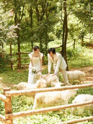 -花漾摄影优选工作室(东莞原创作品店)