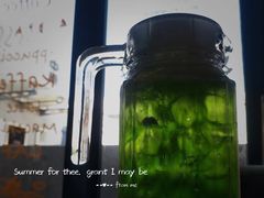 -新沙洞咖啡(泉乐坊店)